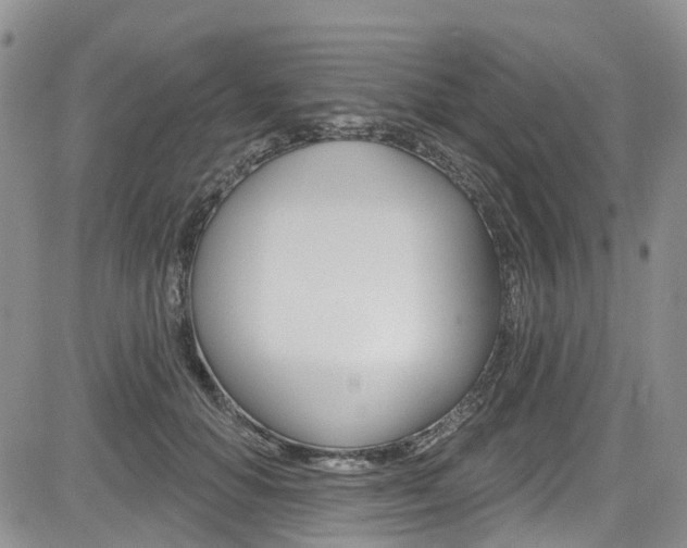 X0000085800654200703161001