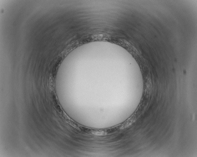 X0000085800659200703161001