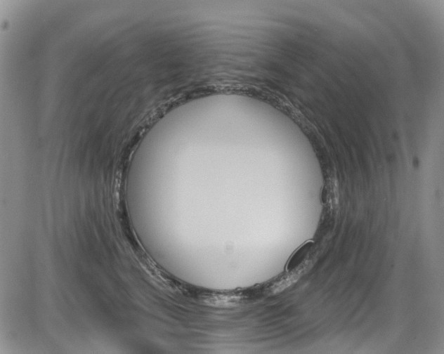 X0000085800664200703161001