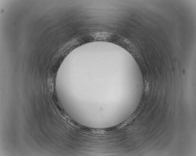 X0000085800666200703161001
