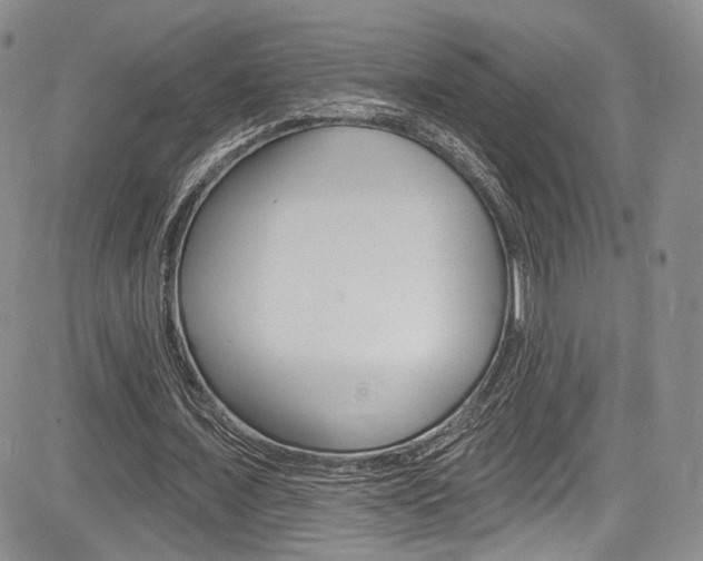 X0000085800675200703161000