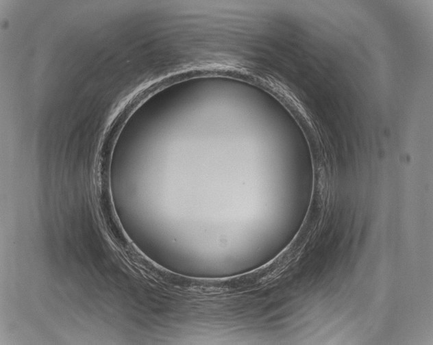 X0000085800676200703161000