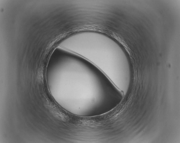 X0000085800681200703161000