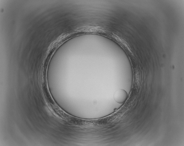 X0000085800682200703161000