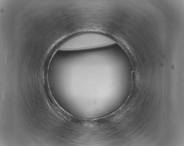 X0000085800684200703161000