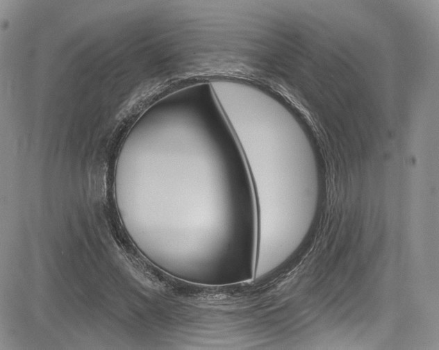 X0000085800685200703161000