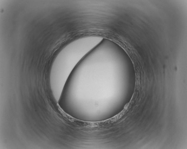 X0000085800696200703161000
