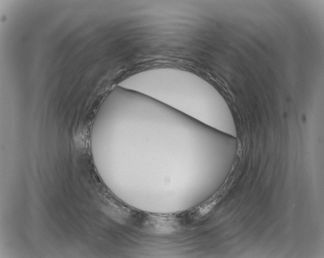 X0000085800713200703160959