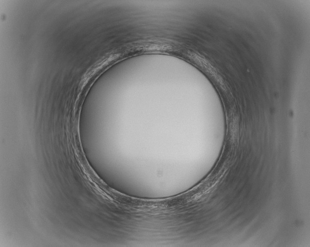 X0000085800721200703160958