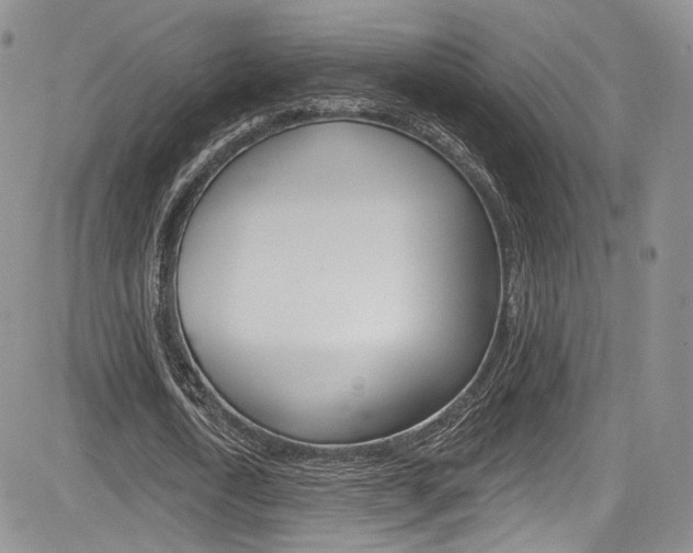 X0000085800722200703160958