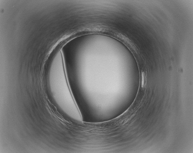 X0000085800723200703160958
