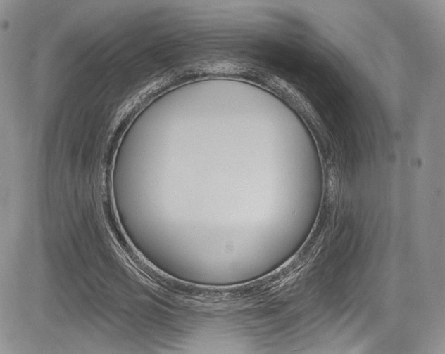 X0000085800725200703160958
