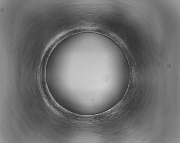 X0000085800726200703160958