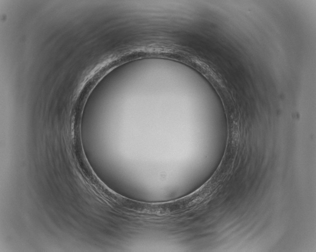 X0000085800727200703160959
