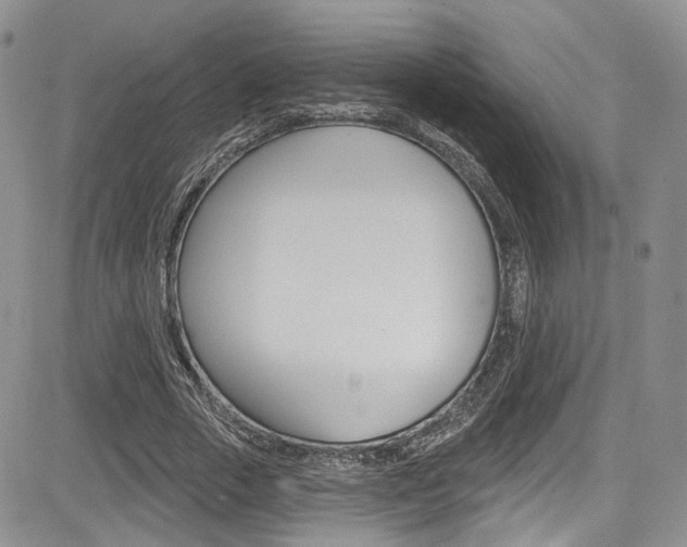 X0000085800729200703160959