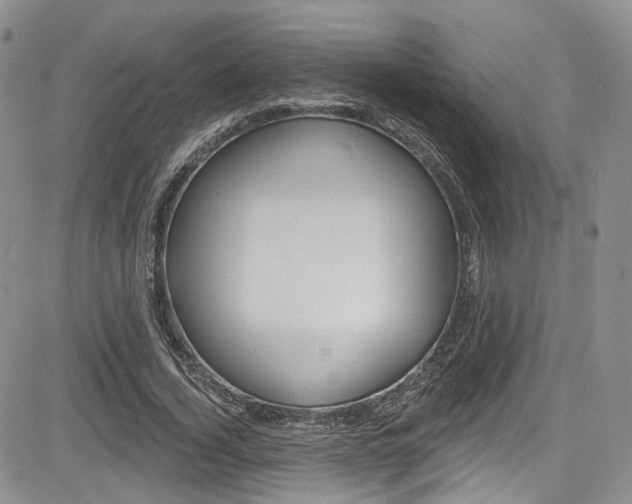 X0000085800732200703160959