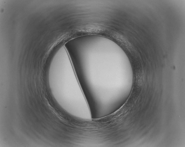 X0000085800735200703160959