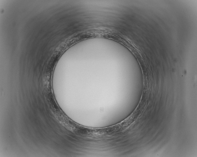 X0000085800737200703160959