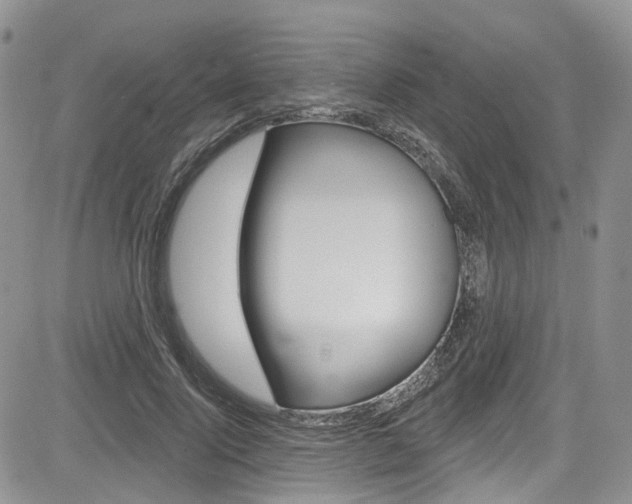 X0000085800740200703160959
