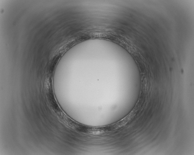 X0000085800746200703160959