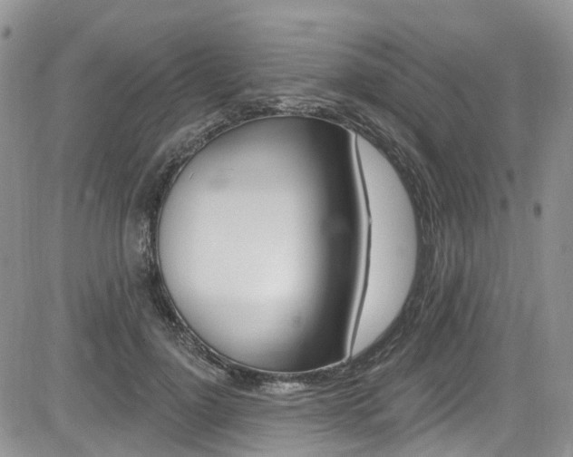 X0000085800748200703160959