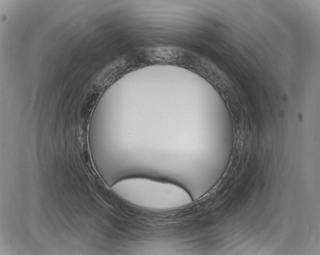 X0000085800749200703160959
