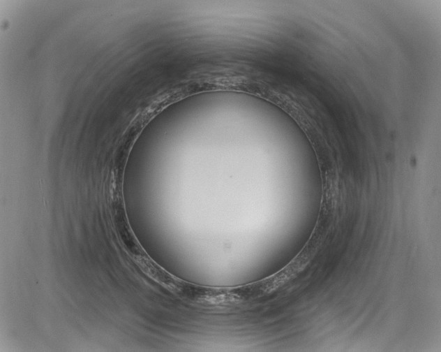 X0000085800752200703160959