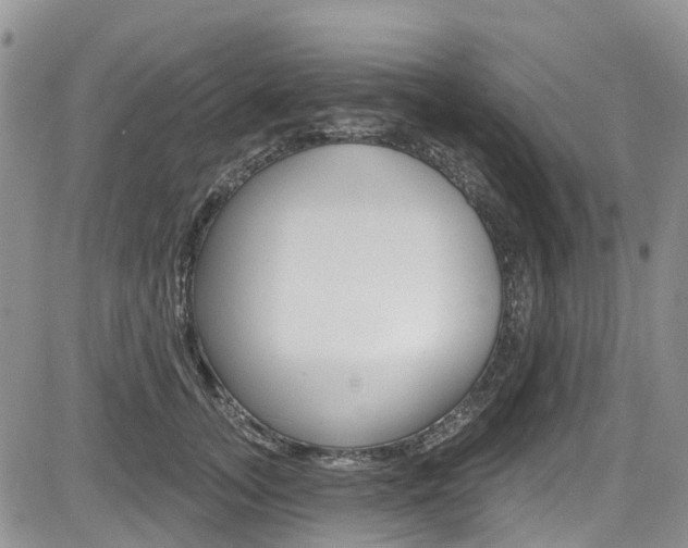 X0000085800755200703160959