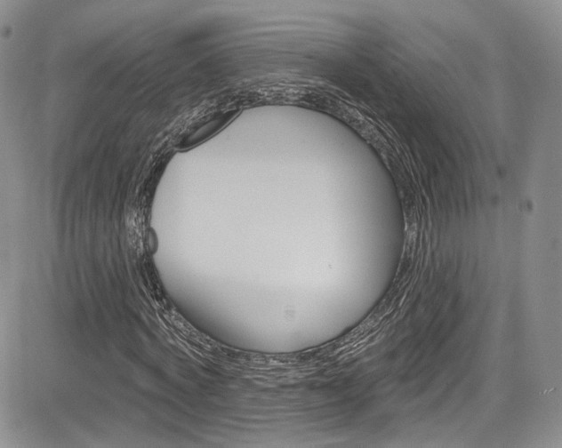 X0000085800772200703160958