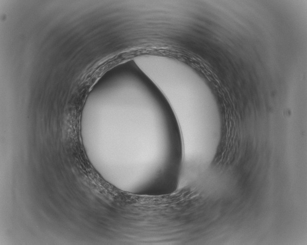 X0000085800773200703160958