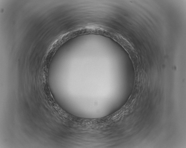X0000085800776200703160958