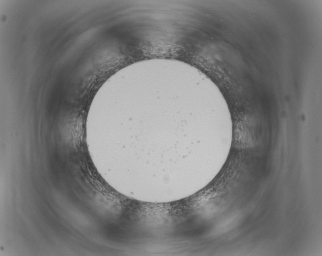 X0000085800820200703160957