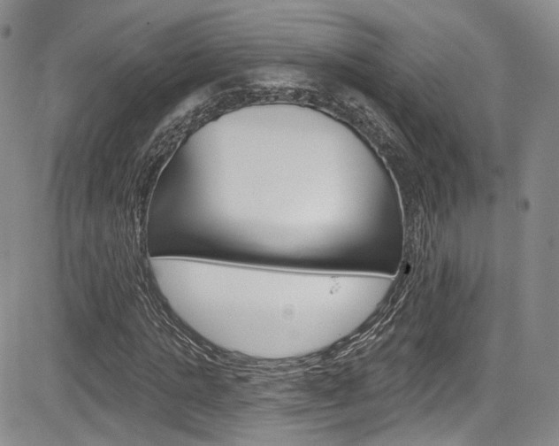 X0000085800821200703160957