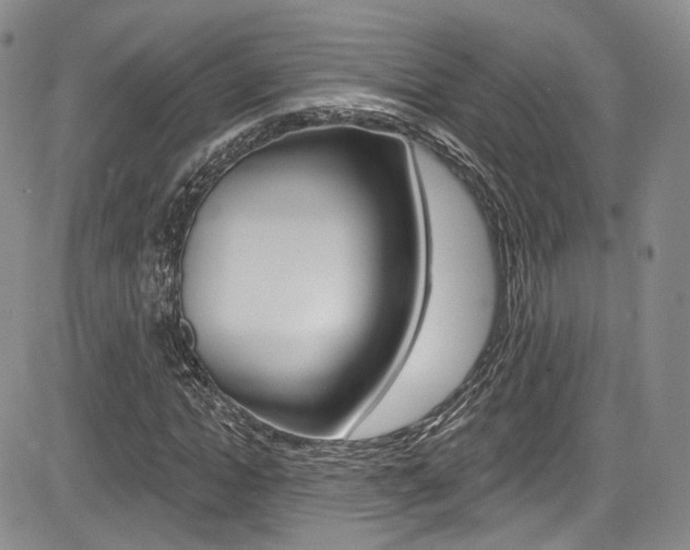 X0000085800822200703160957