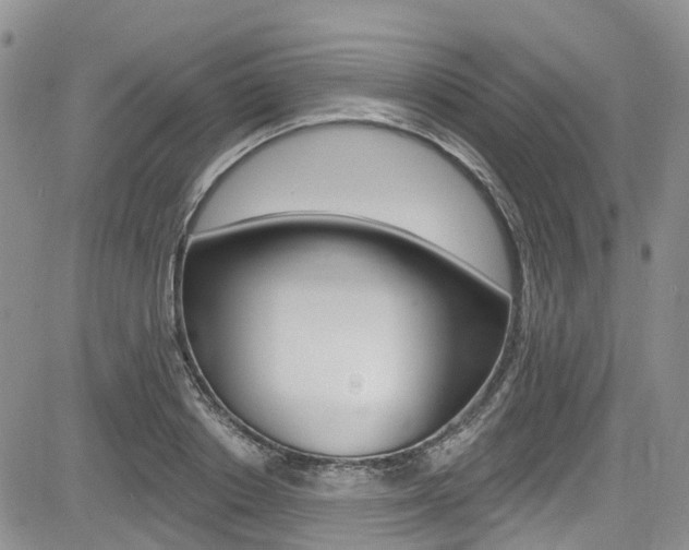 X0000085800842200703160957