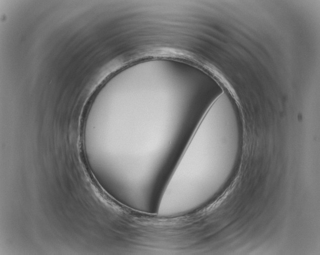 X0000085800845200703160957