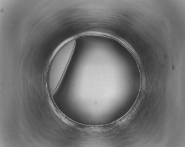 X0000085800862200703160958