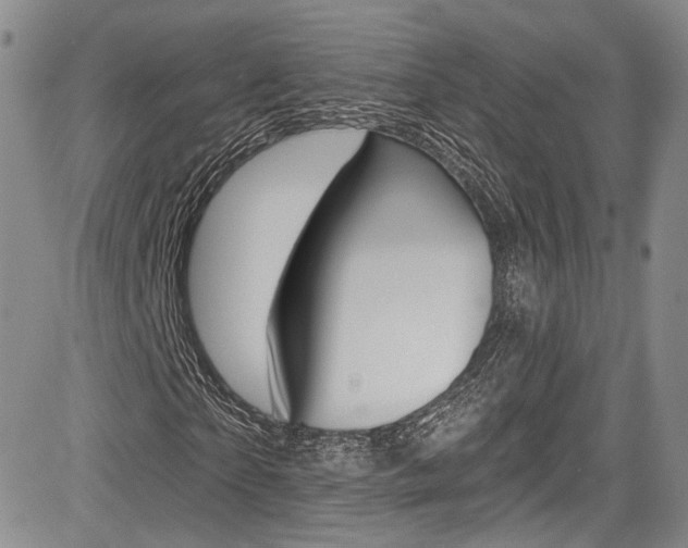X0000085800865200703160957