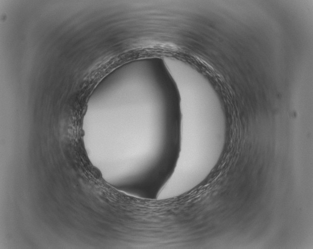 X0000085800869200703160957