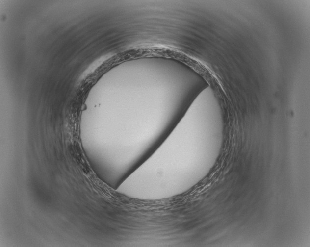X0000085800871200703160957