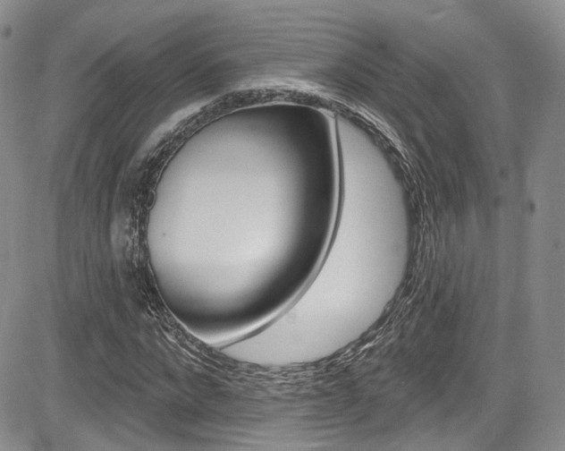 X0000085800872200703160957