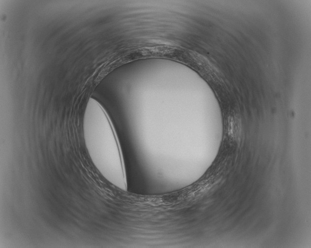 X0000085800915200703160955