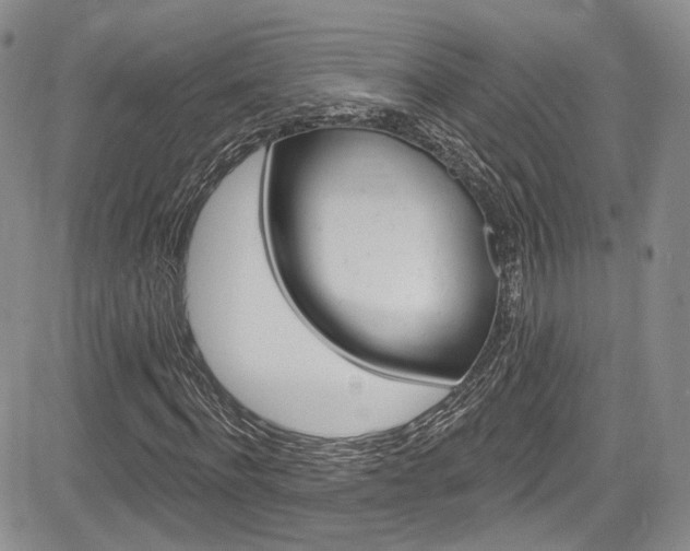 X0000085800916200703160955