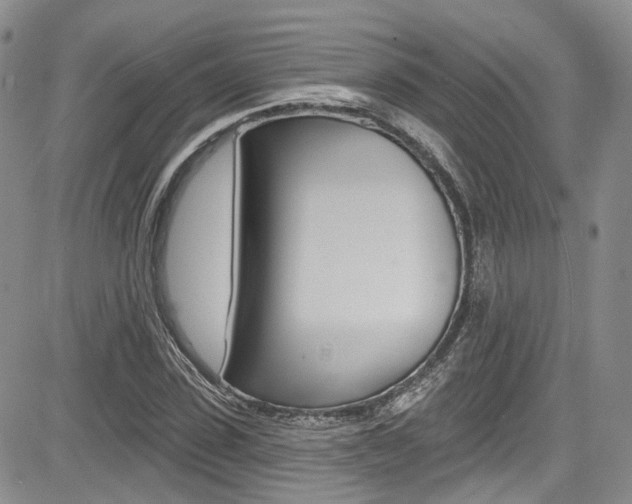 X0000085800923200703160955