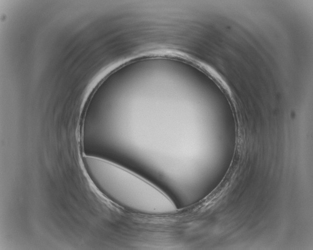 X0000085800951200703160956
