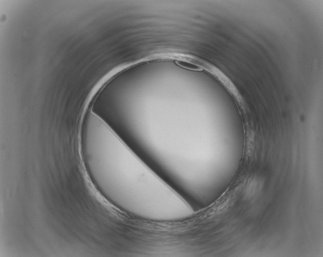 X0000085800955200703160956