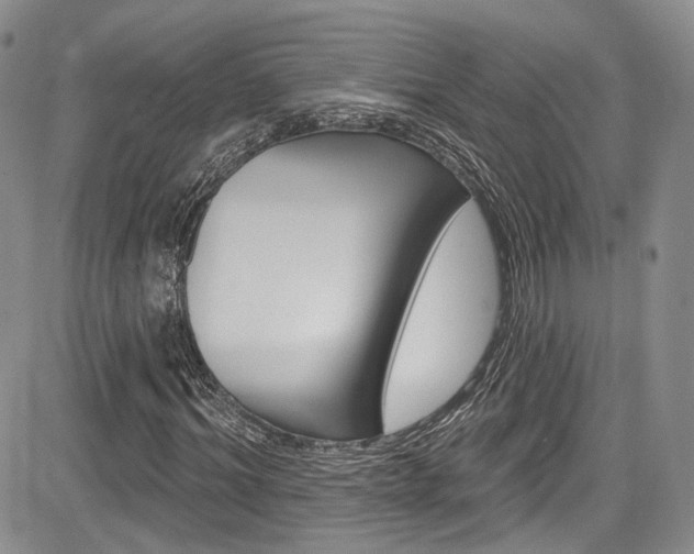 X0000085800964200703160955