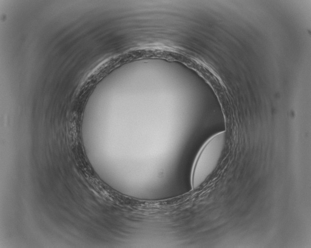 X0000085800968200703160955