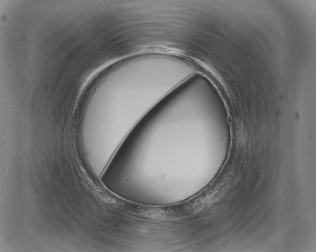 X0000085800971200703160955