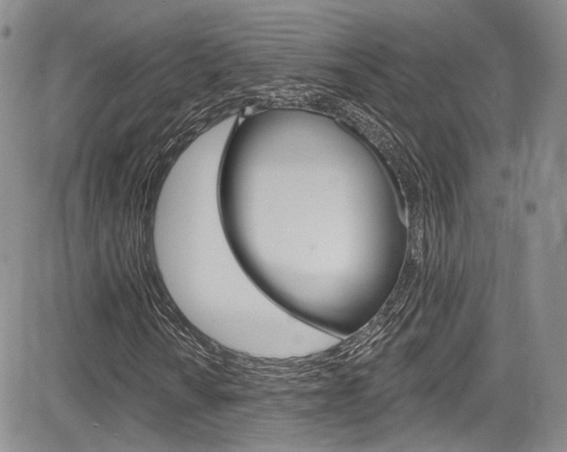 X0000085801010200703160954